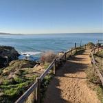 Torrey Pines State Natural Reserve