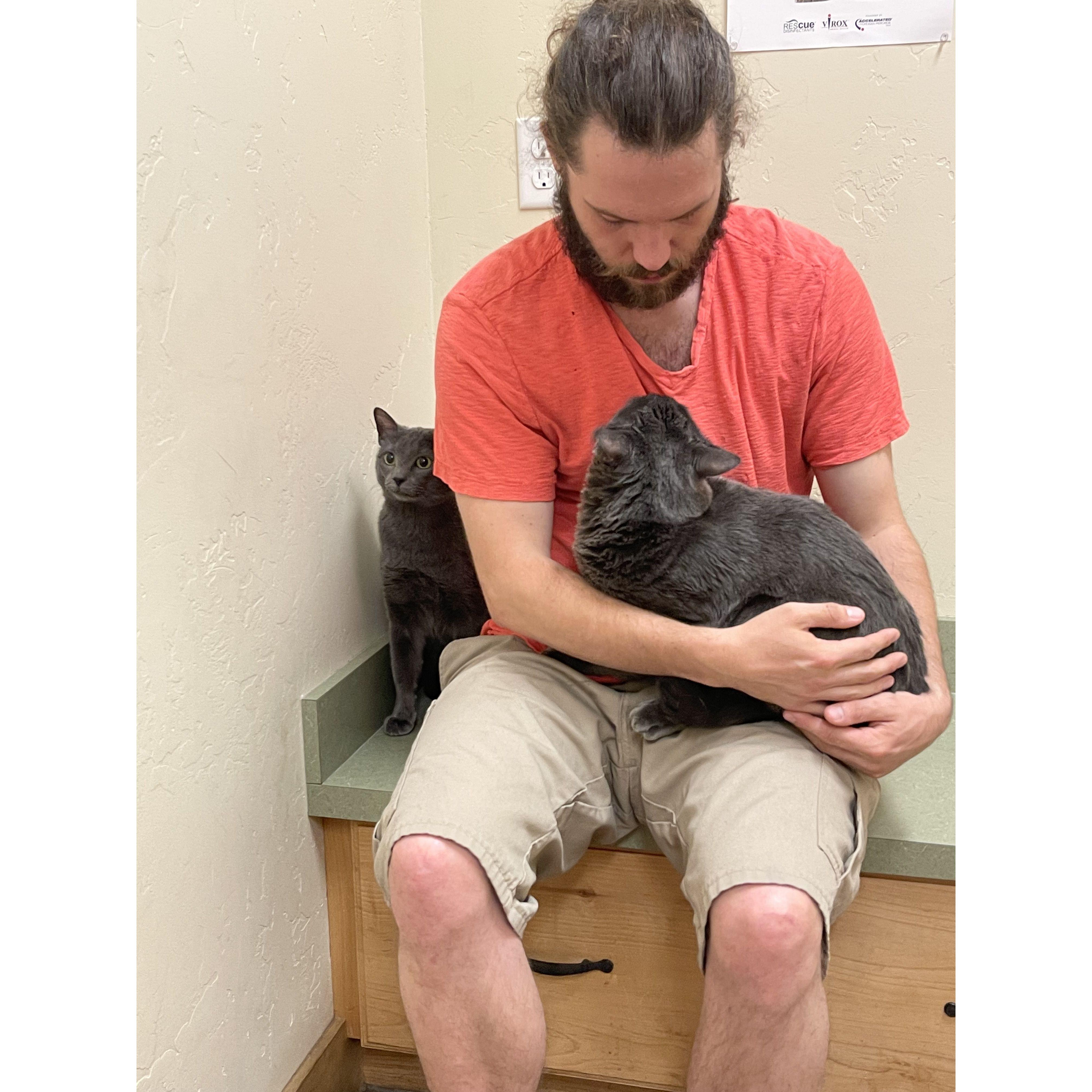 the cats first joint vet appointment. 14 October 2021.