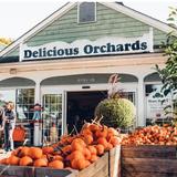 Delicious Orchards