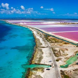 Bonaire Honeymoon Fund