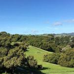 Westwood Hills Park