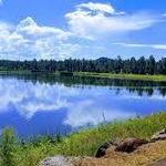 Woodland Lake Park