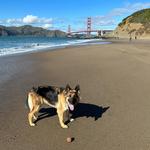 Baker Beach