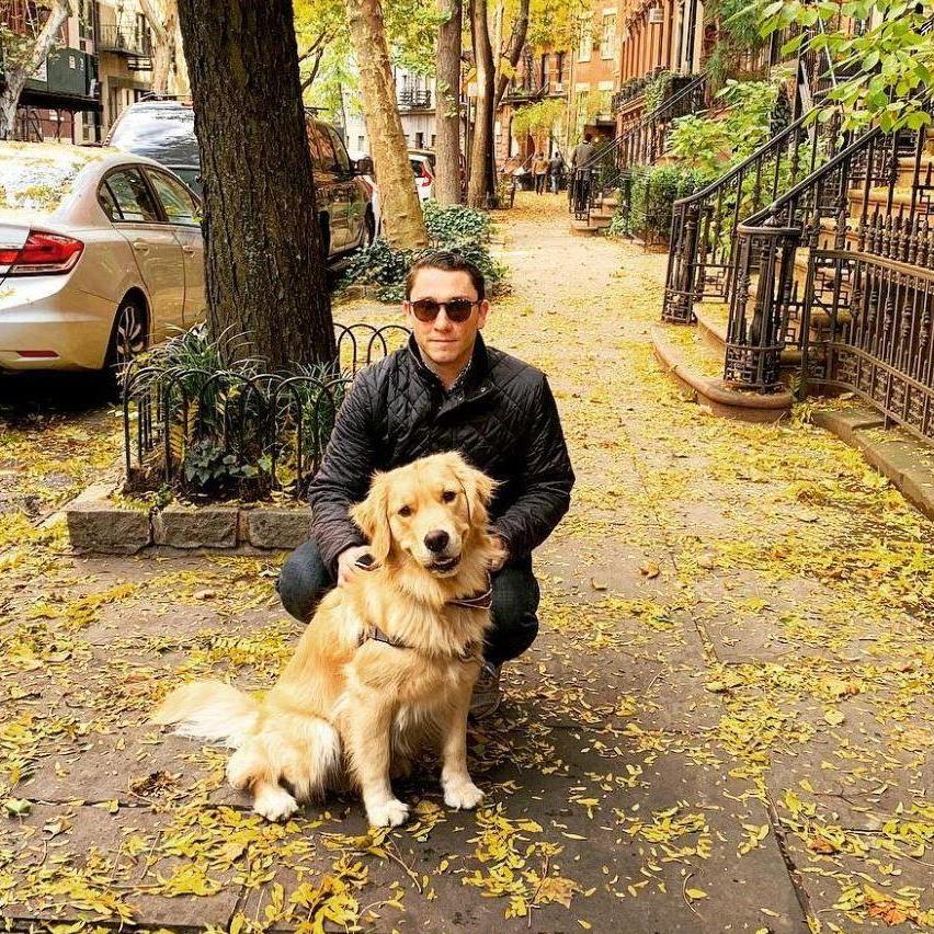 New York City, 2019