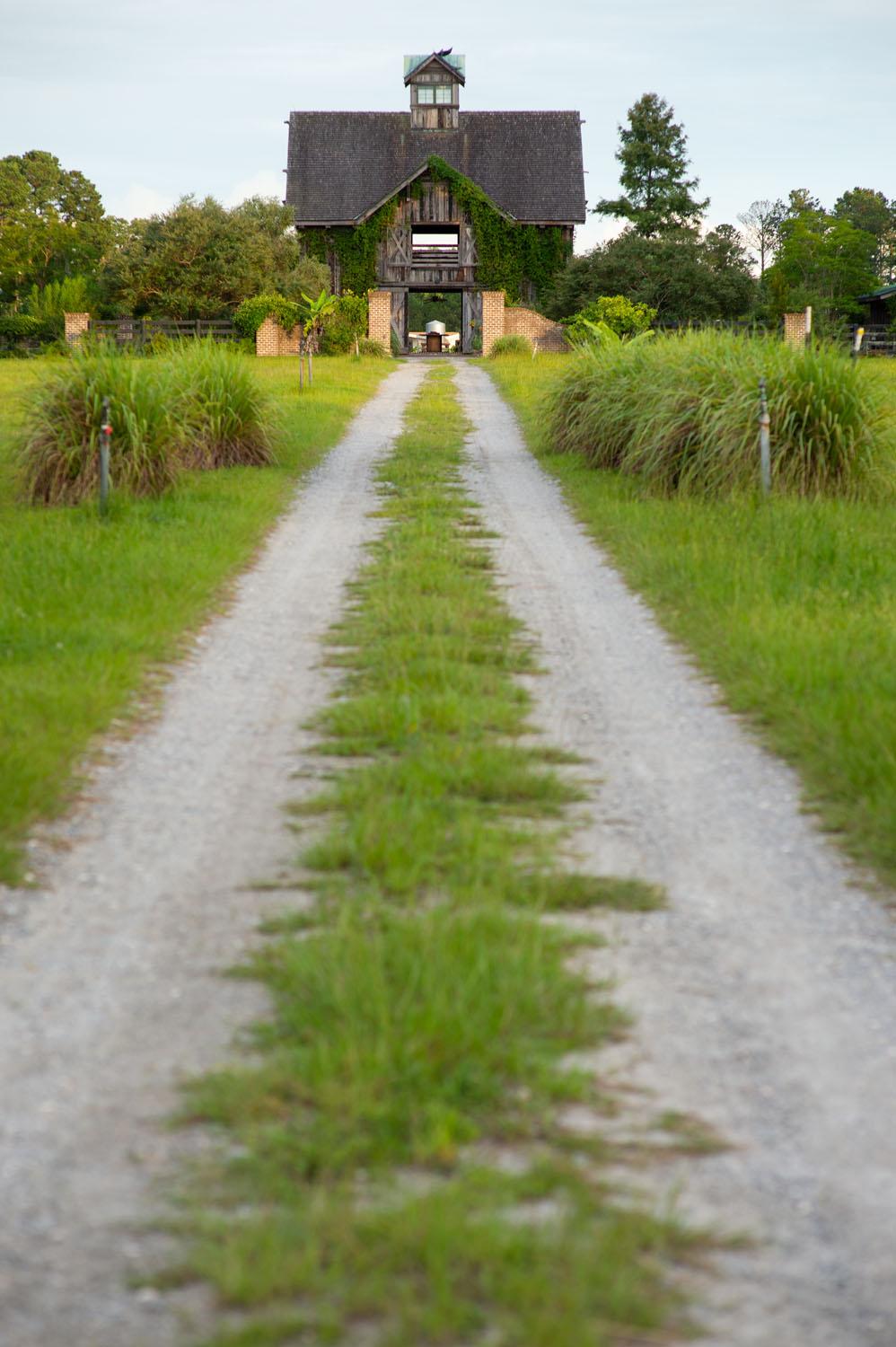 The Wedding Website of Avery Dodge and Cole Brown