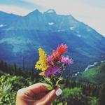 Museum of the Rockies