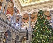 Library of Congress Christmas Tree