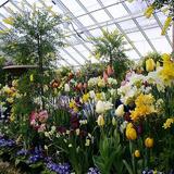Lyman Plant House & Conservatory