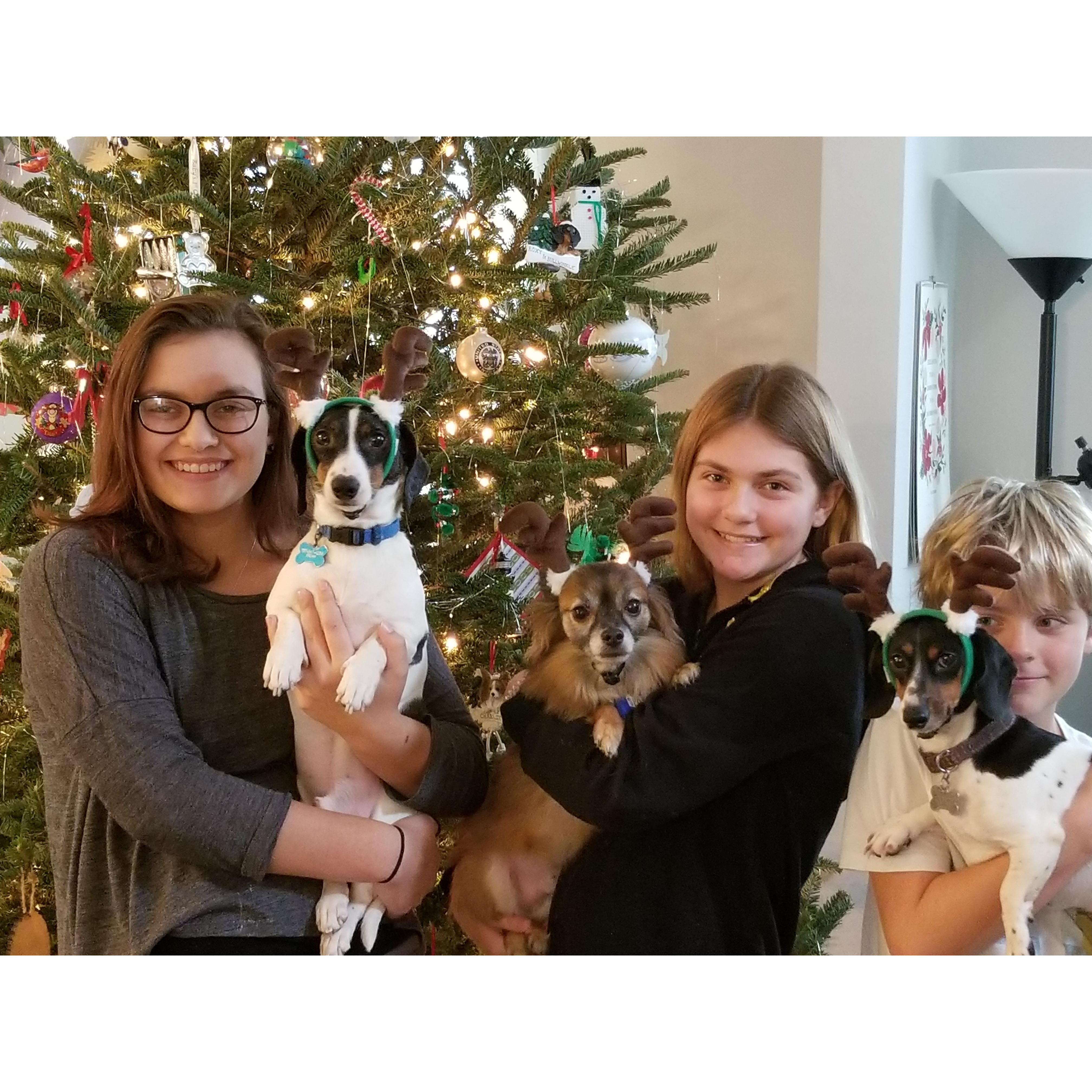 The kids and the fur babies Christmas 2018.
Kids (L to R): Abbi, Ryan, Grayson
Dogs (L to R): Bullwinkle, Charlie, Roxy