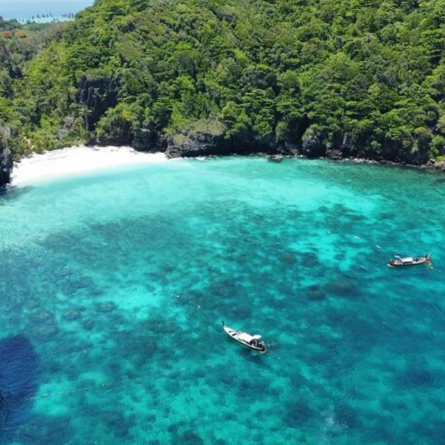 Phi Phi with Maya and Bamboo Island Day Trip by Speedboat