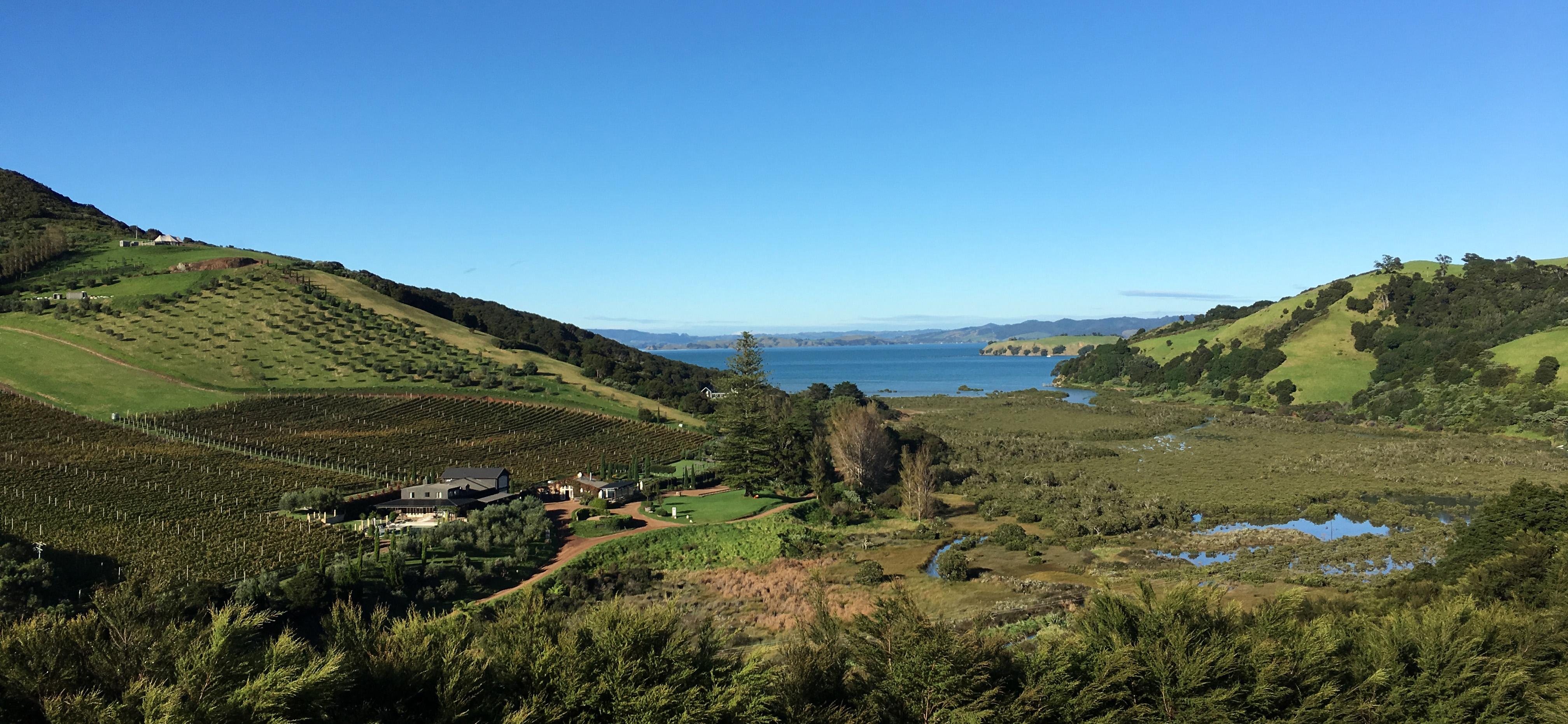 The Wedding Website of Wish Ronquillo and Luke Peacocke