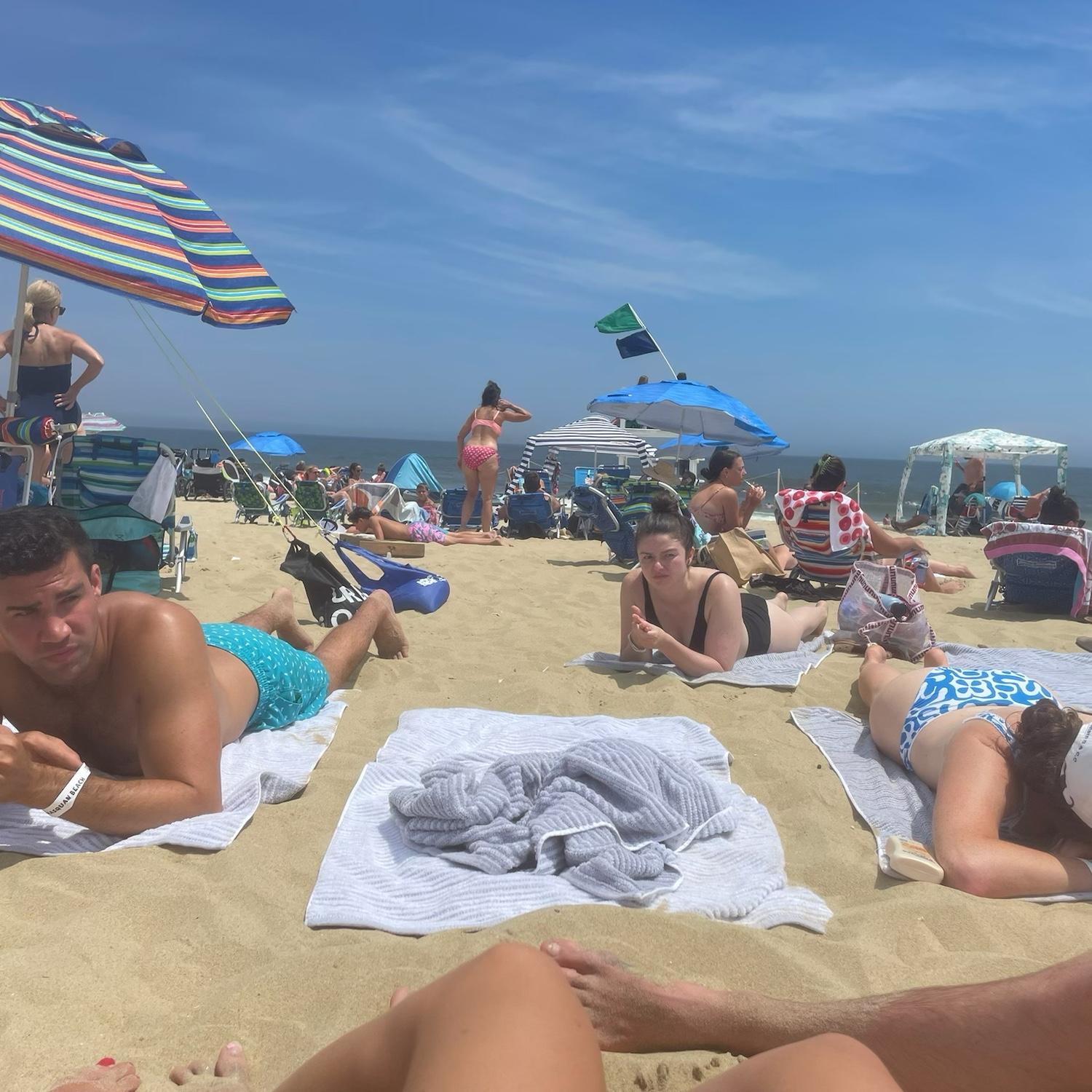 Teagan on the right ignoring me on the beach our first day together