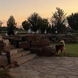 Orchards Dog Park