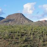 Spur Cross Ranch Conservation Area