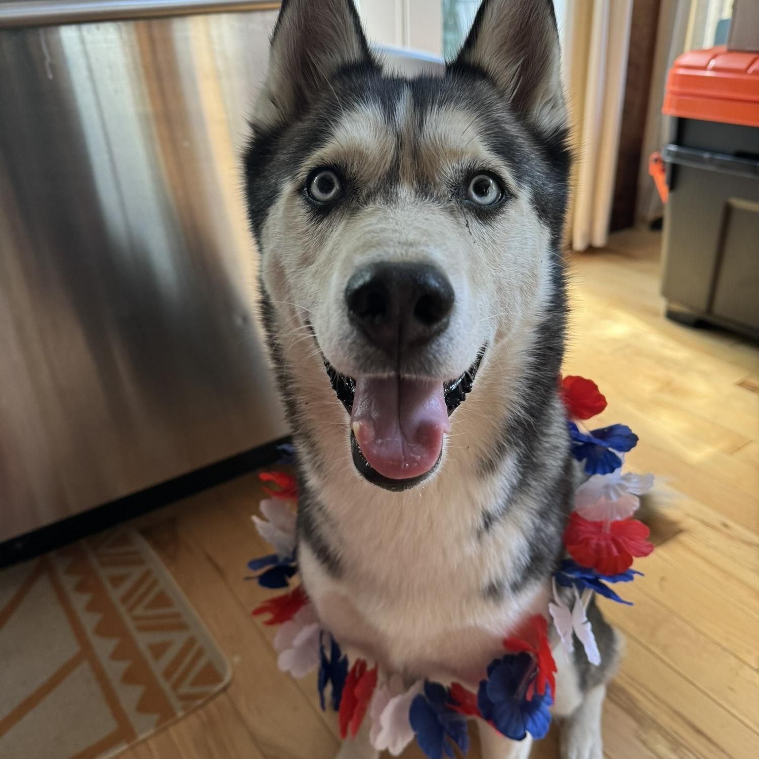 Party girl Gigi!