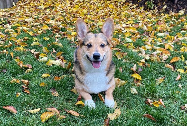 7ed5df33-a7d2-4cd0-bc3a-ebc8c814dbb5