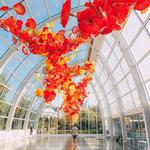 Chihuly Garden and Glass