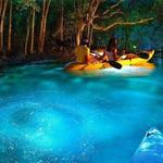 Bioluminescent Bay