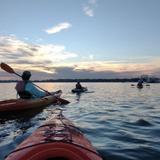 Kayak Rentals + Tours