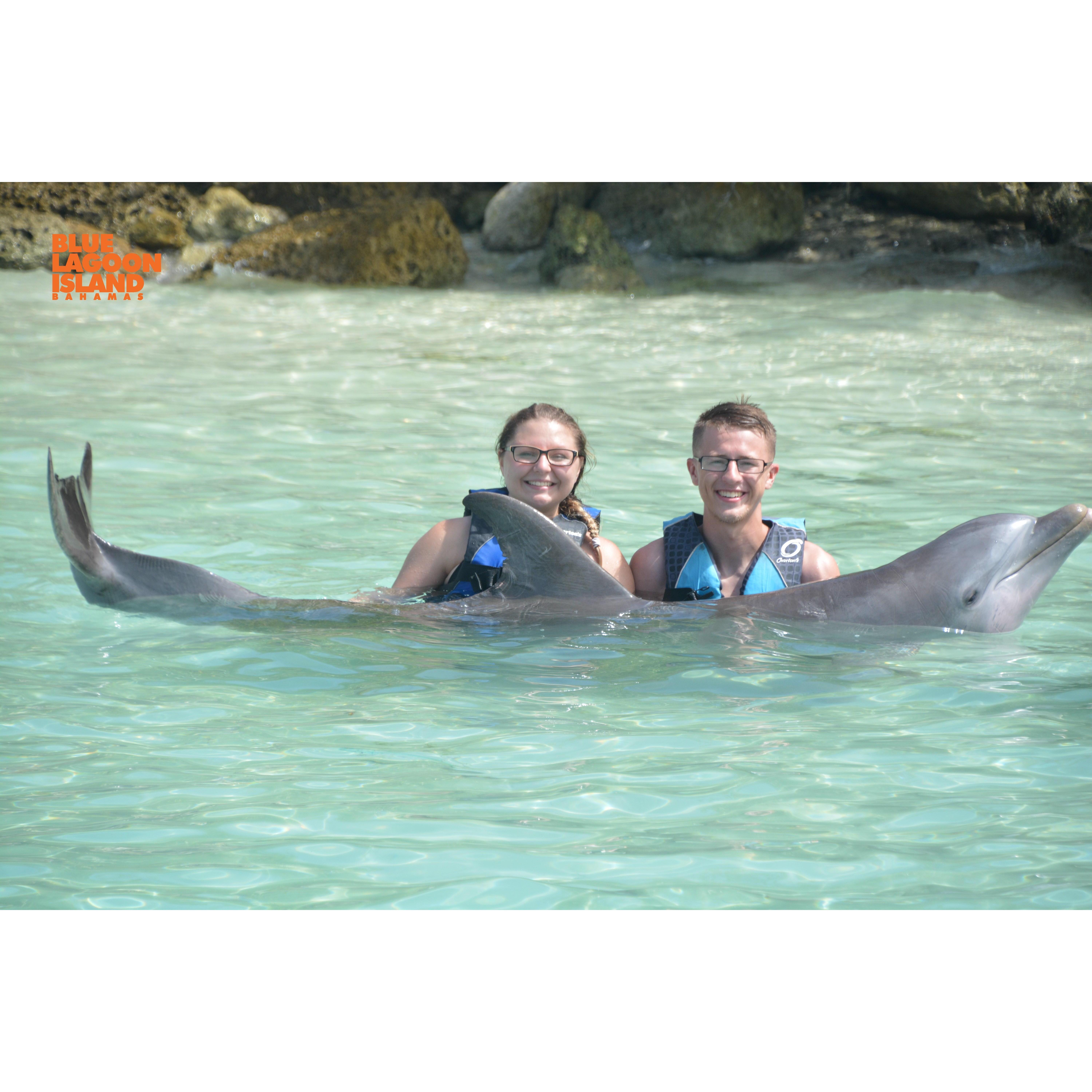 VIP swimming with dolphins at Blue Lagoon Island in the Bahamas while on our cruise!