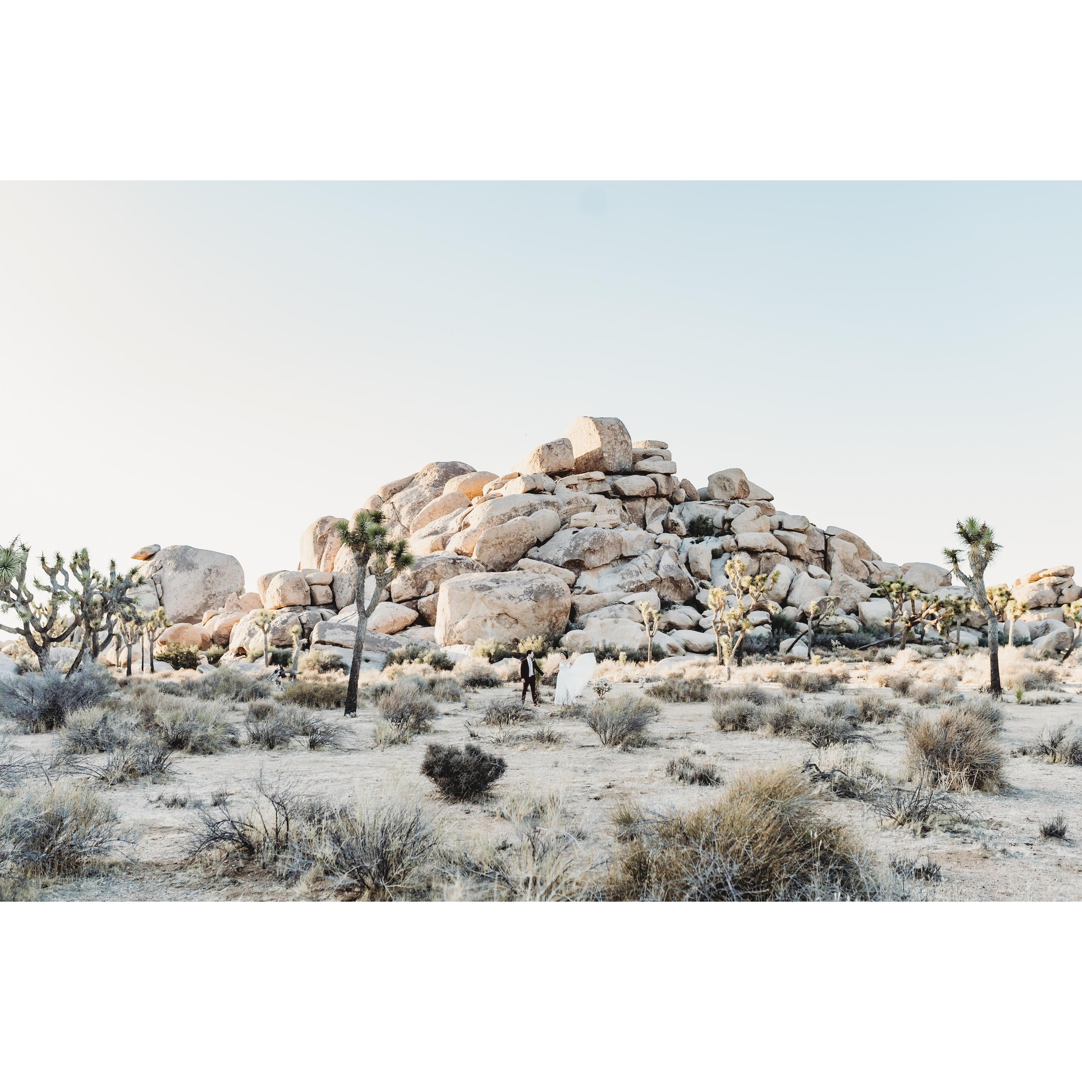 A glimpse of the magical terrain at Cap Rock in Joshua Tree National Park. Absolutely beautiful, perfect location. Can you see little ole' us?!
