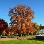Elizabeth Park Conservancy
