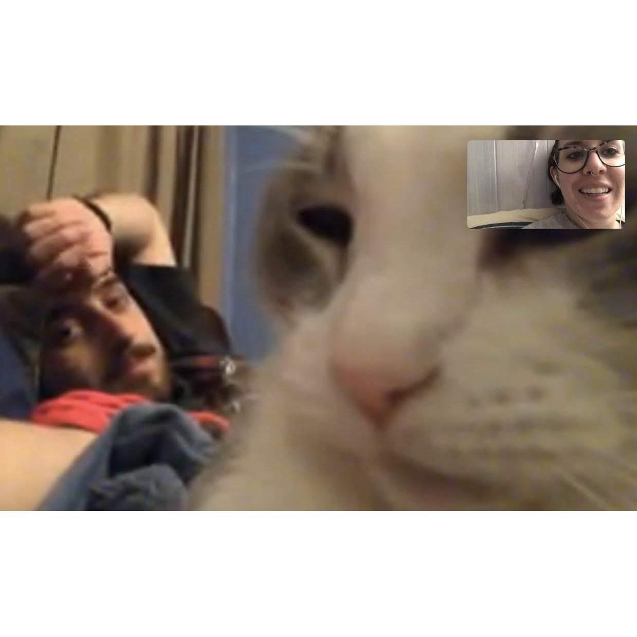 Long distance fam, including our beloved Methcat (early 2018).