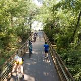 Swamp Rabbit Trail