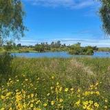 Guajome Regional Park