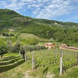 Tenuta Adamo Winery
