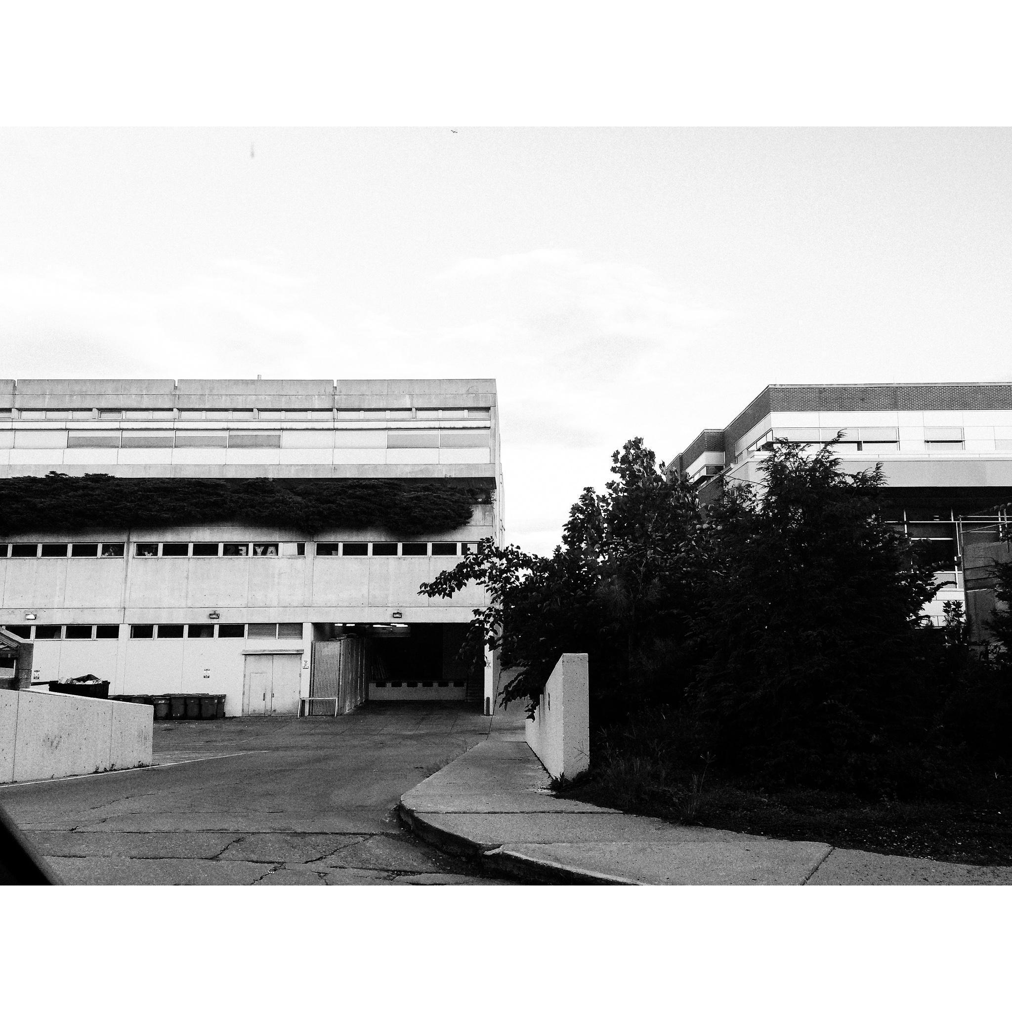 where it all started, utcoa+d, 2016