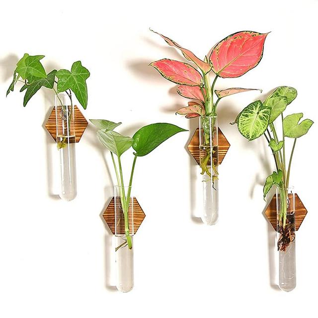 HUSSLEAN Plant Propagation Station Terrarium ,Glass Propagation Stations Wall Hanging Planter Tubes for Garden Office Decoration,Plant Holder Lover Gifts (4 Vase)