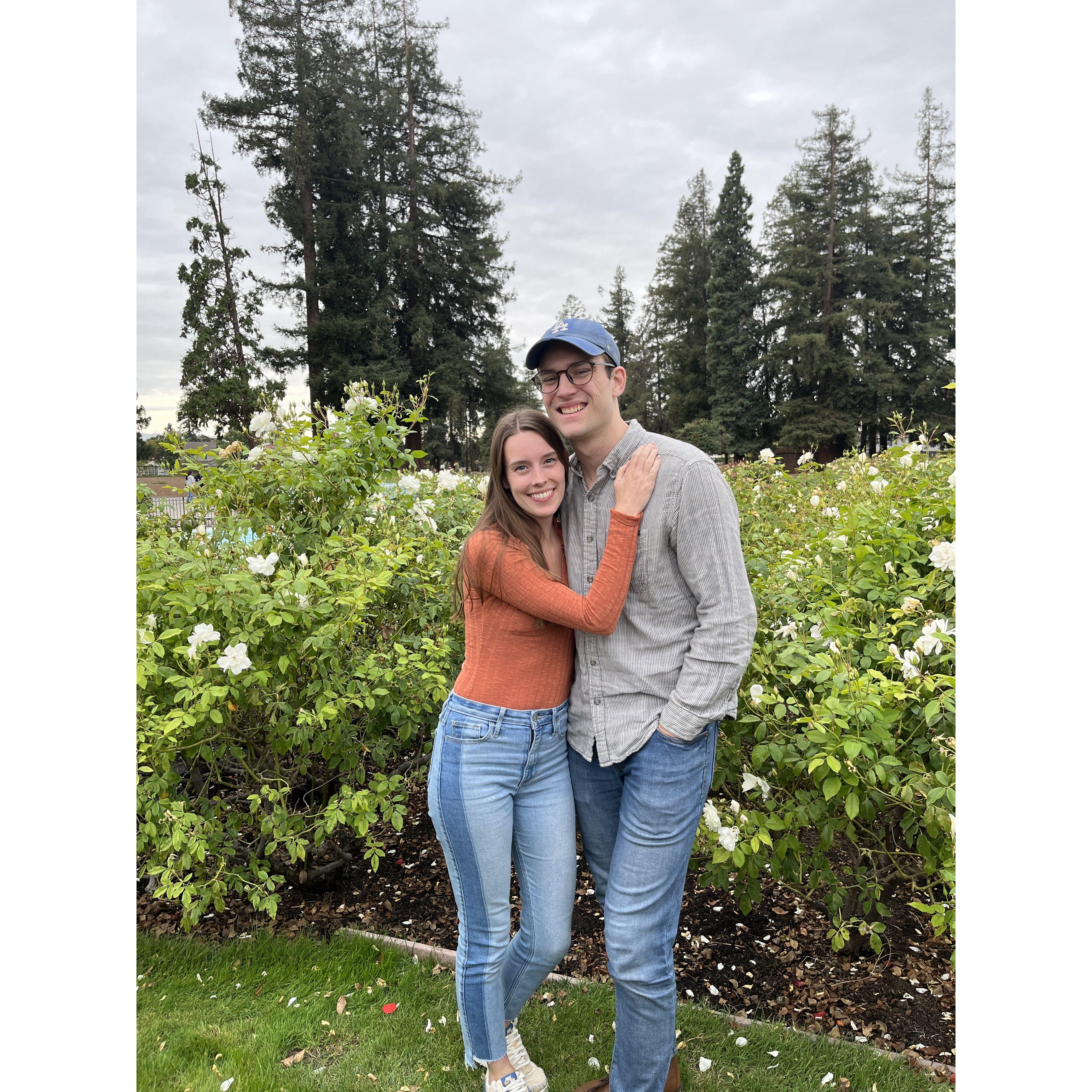 Beautiful rose garden in San Jose