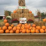 Wiard's Orchard Country Store