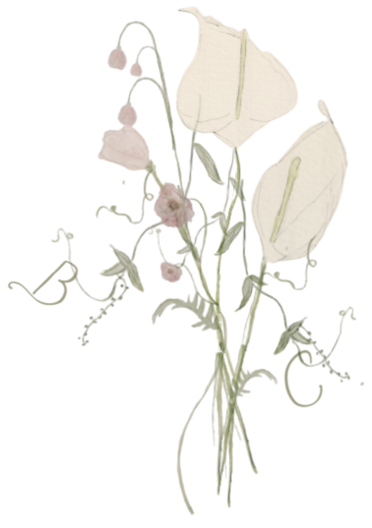 The Wedding Website of Bridget Francis Lawler and Charles John Hallett