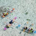 3HR Clear Kayak Mangrove and Iguana Island Tour