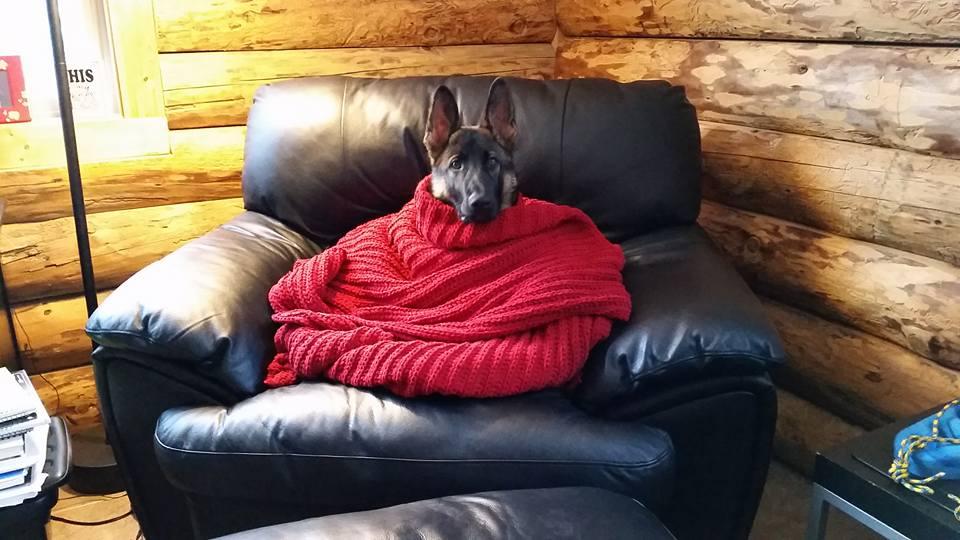Wyatt after a day of playing in the snow.