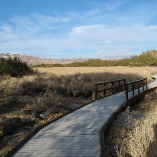 Morongo Valley Desert Oasis Adventure