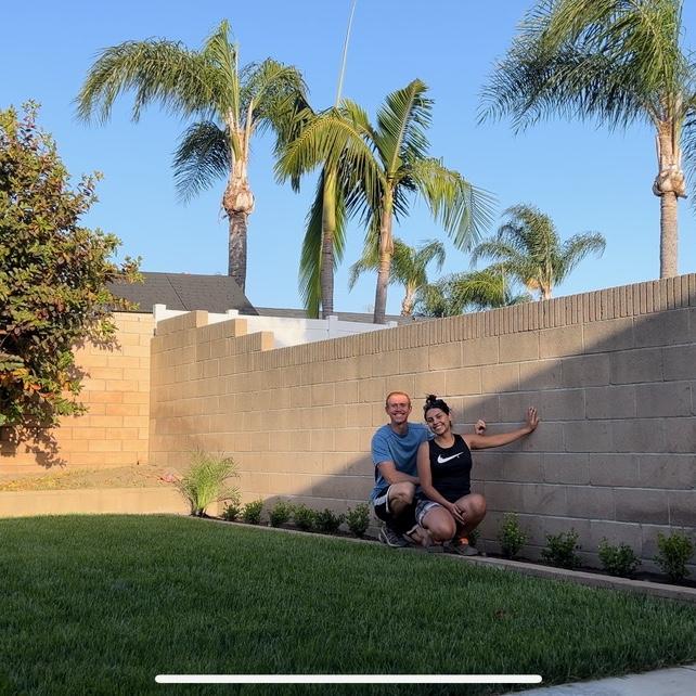 Putting shrubs !