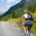 Venture Sports Vail
