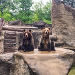 Cleveland Metroparks Zoo