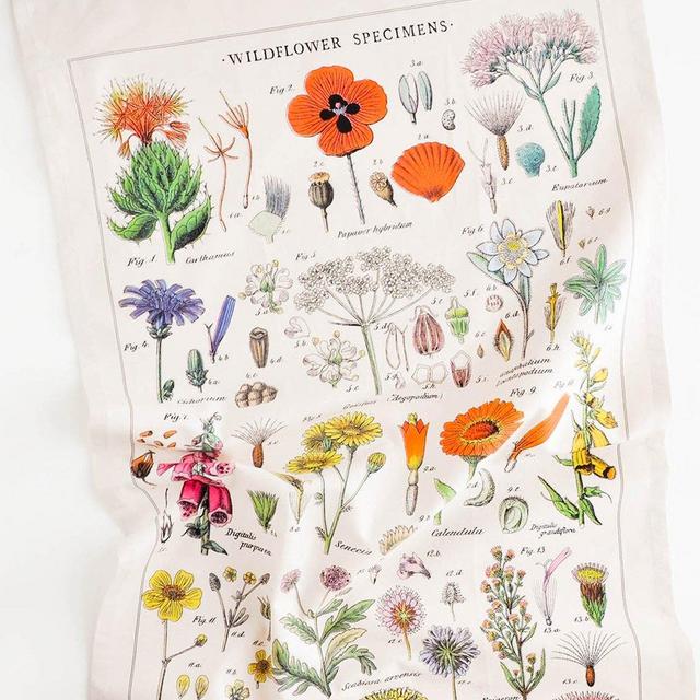 Wildflower Species Tea Towel