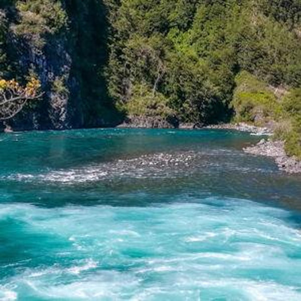 Petrohue Falls, Lake Cruise & Chilean Countryside Excursion - Puerto Montt
