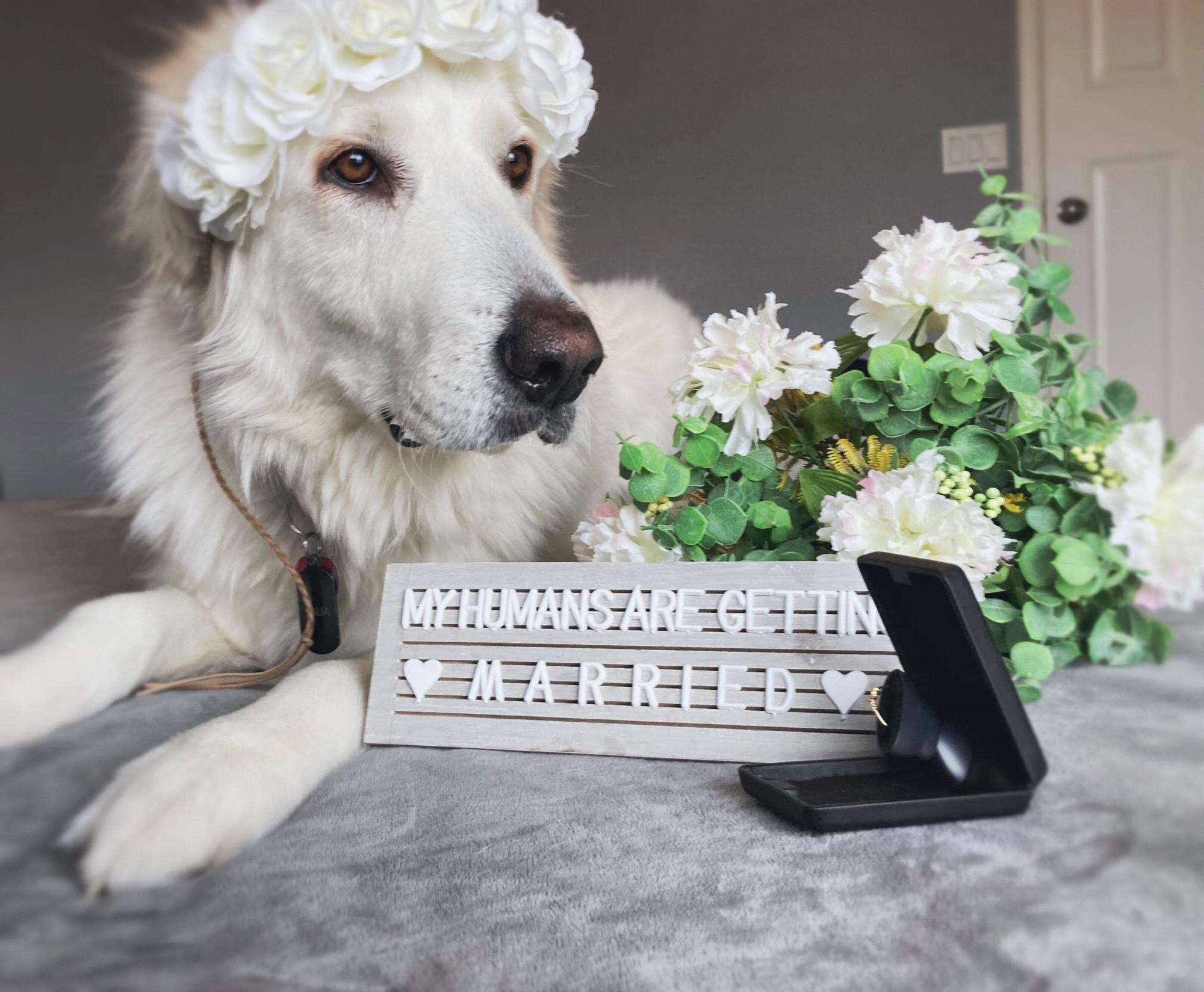 Talia helping us to announce the big news!