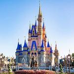 Walt Disney World Wedding Theme Park Tickets