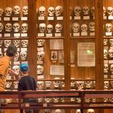 The Mütter Museum at The College of Physicians of Philadelphia