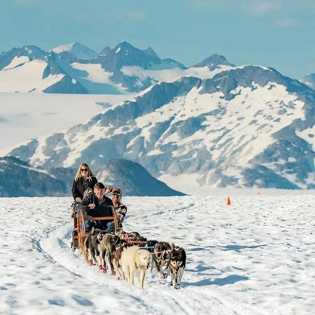Dog Sledding in Alaska