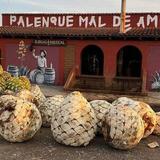 Take a Mezcal Tour