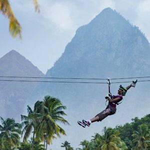Send Us Flying Through the Trees! 🌴