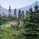 Whitefish Outfitters & Tours + E-bike Rentals